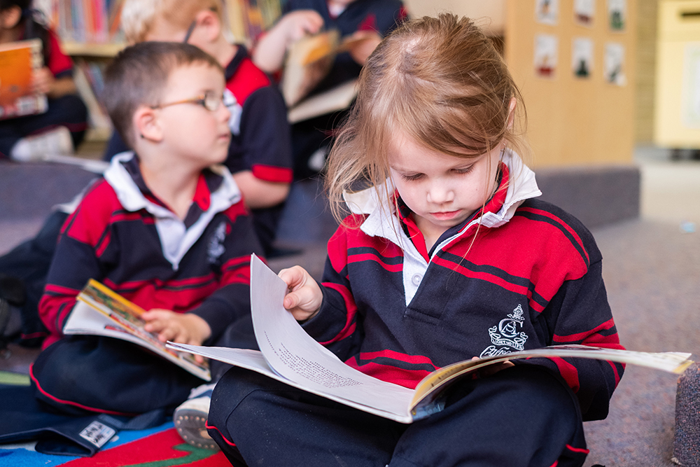 Young Girl Reading